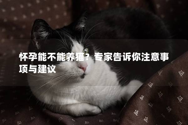 怀孕能不能养猫？专家告诉你注意事项与建议