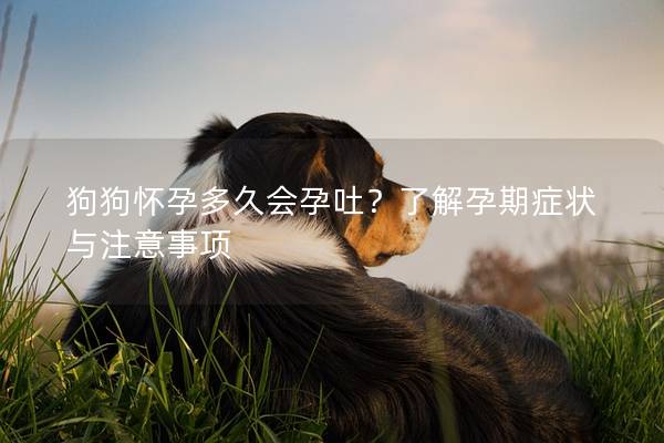 狗狗怀孕多久会孕吐？了解孕期症状与注意事项