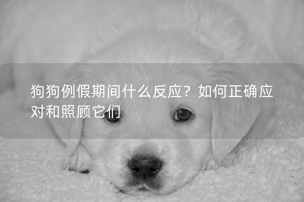 狗狗例假期间什么反应？如何正确应对和照顾它们