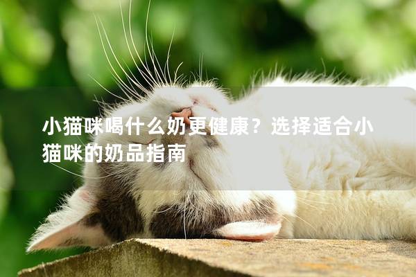 小猫咪喝什么奶更健康？选择适合小猫咪的奶品指南