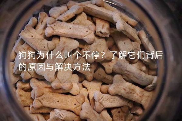 狗狗为什么叫个不停？了解它们背后的原因与解决方法