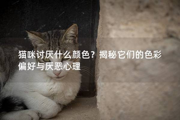 猫咪讨厌什么颜色？揭秘它们的色彩偏好与厌恶心理