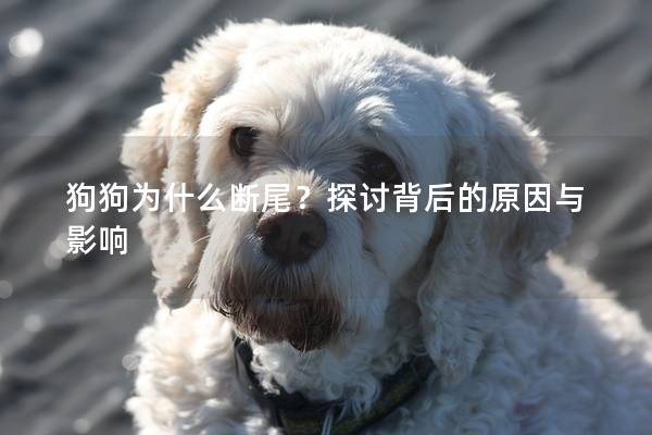 狗狗为什么断尾？探讨背后的原因与影响