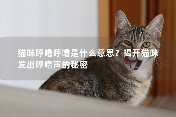 猫咪呼噜呼噜是什么意思？揭开猫咪发出呼噜声的秘密