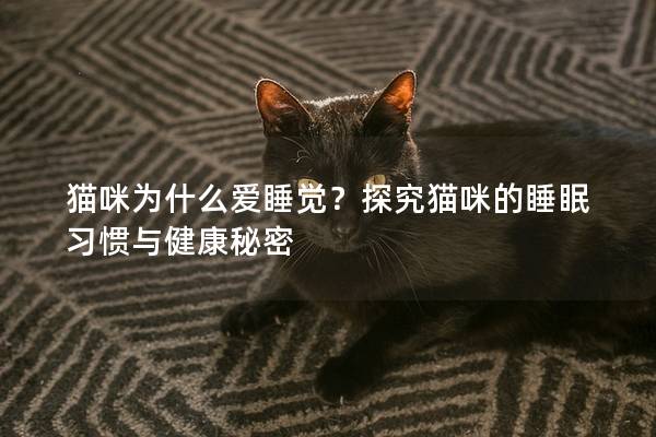 猫咪为什么爱睡觉？探究猫咪的睡眠习惯与健康秘密