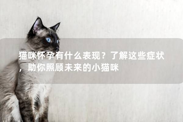 猫咪怀孕有什么表现？了解这些症状，助你照顾未来的小猫咪