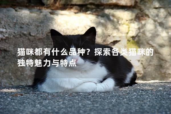 猫咪都有什么品种？探索各类猫咪的独特魅力与特点