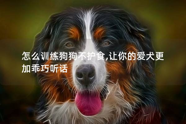 怎么训练狗狗不护食,让你的爱犬更加乖巧听话