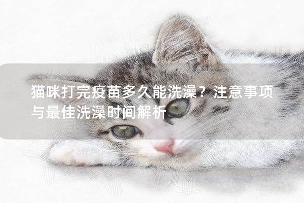 猫咪打完疫苗多久能洗澡？注意事项与最佳洗澡时间解析