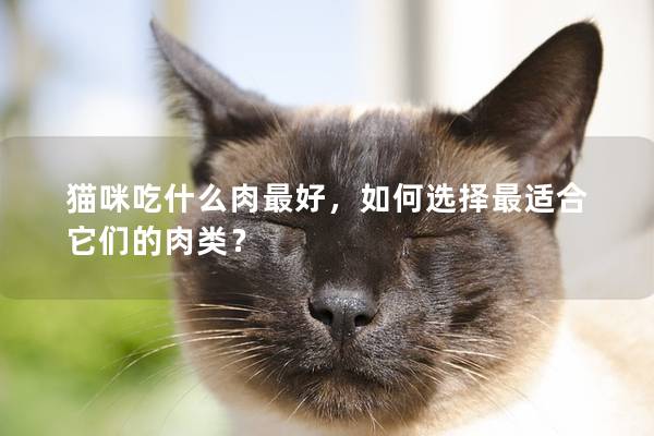 猫咪吃什么肉最好，如何选择最适合它们的肉类？