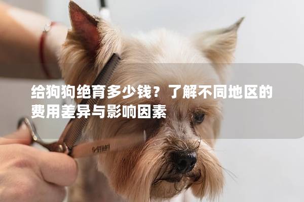 给狗狗绝育多少钱？了解不同地区的费用差异与影响因素