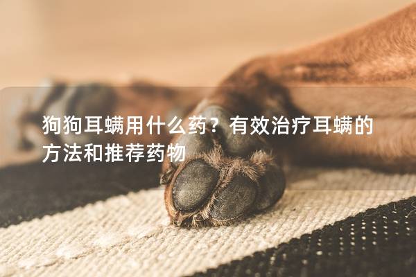 狗狗耳螨用什么药？有效治疗耳螨的方法和推荐药物