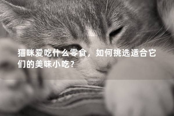 猫咪爱吃什么零食，如何挑选适合它们的美味小吃？