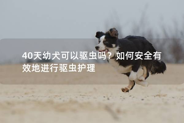 40天幼犬可以驱虫吗？如何安全有效地进行驱虫护理