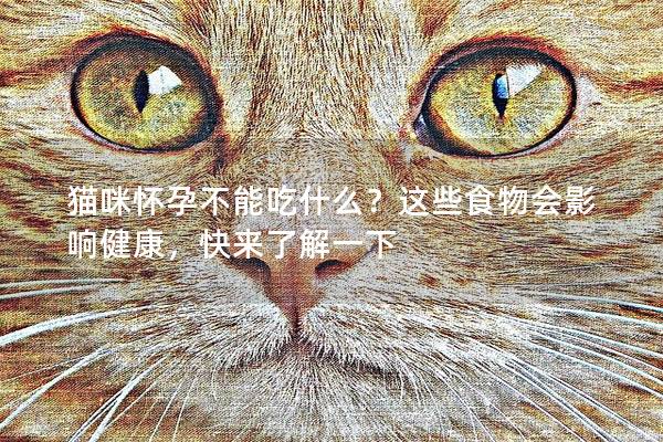 猫咪怀孕不能吃什么？这些食物会影响健康，快来了解一下