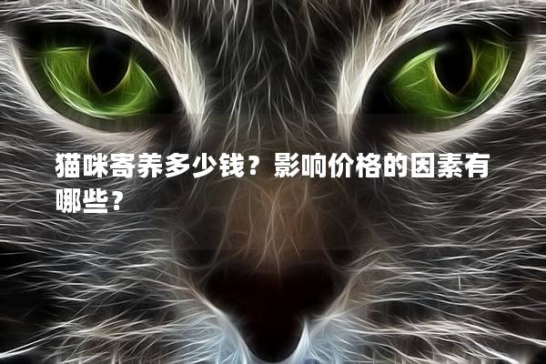 猫咪寄养多少钱？影响价格的因素有哪些？