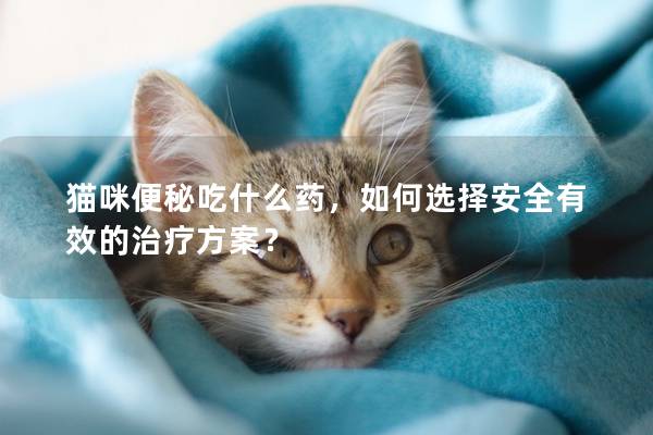 猫咪便秘吃什么药，如何选择安全有效的治疗方案？