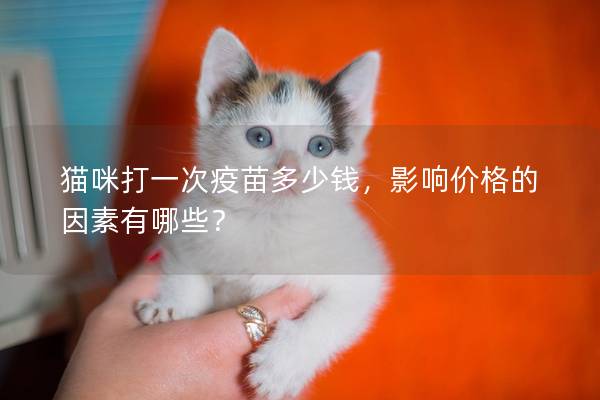 猫咪打一次疫苗多少钱，影响价格的因素有哪些？