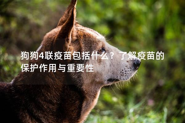 狗狗4联疫苗包括什么？了解疫苗的保护作用与重要性