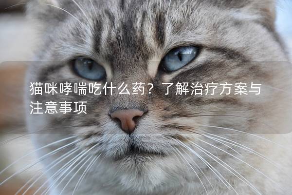 猫咪哮喘吃什么药？了解治疗方案与注意事项