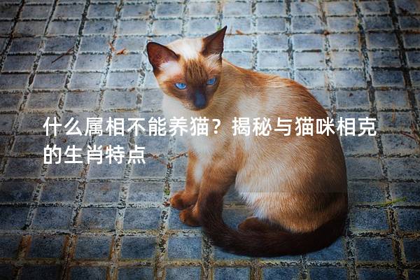 什么属相不能养猫？揭秘与猫咪相克的生肖特点