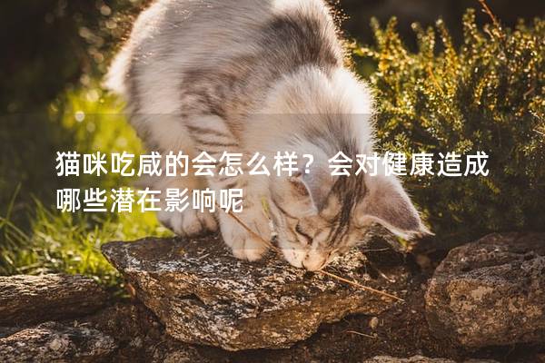 猫咪吃咸的会怎么样？会对健康造成哪些潜在影响呢