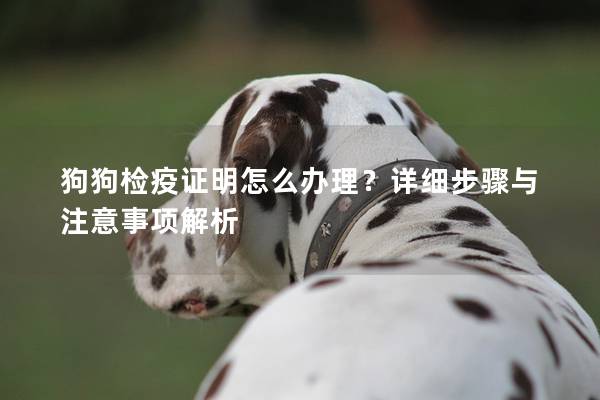 狗狗检疫证明怎么办理？详细步骤与注意事项解析