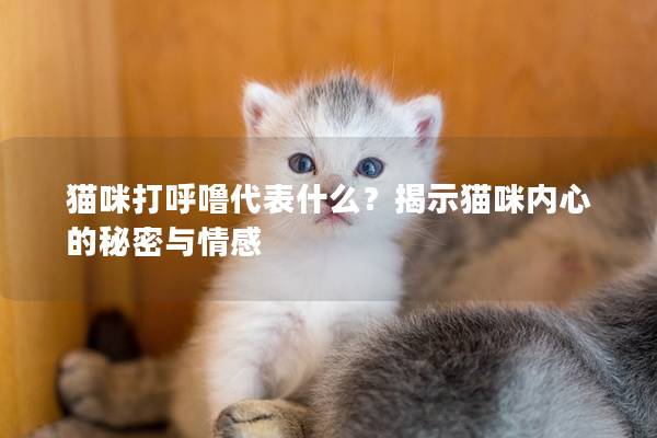 猫咪打呼噜代表什么？揭示猫咪内心的秘密与情感