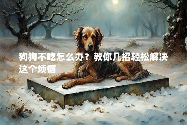 狗狗不吃怎么办？教你几招轻松解决这个烦恼