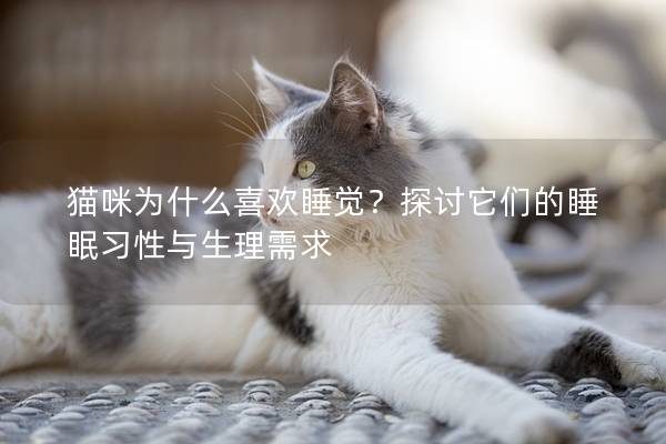 猫咪为什么喜欢睡觉？探讨它们的睡眠习性与生理需求