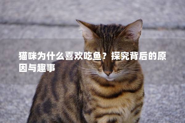 猫咪为什么喜欢吃鱼？探究背后的原因与趣事