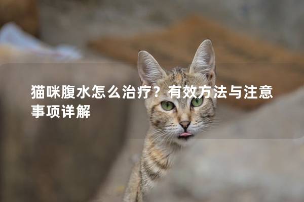 猫咪腹水怎么治疗？有效方法与注意事项详解