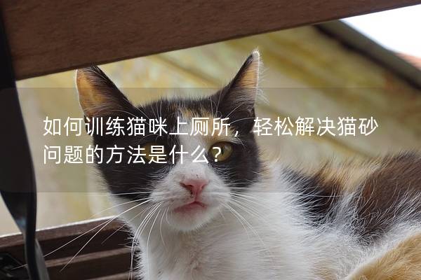 如何训练猫咪上厕所，轻松解决猫砂问题的方法是什么？