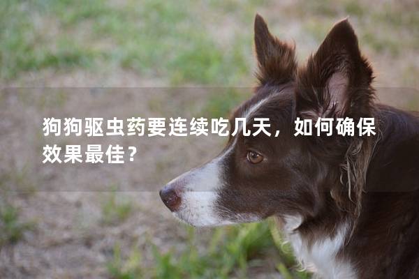 狗狗驱虫药要连续吃几天，如何确保效果最佳？