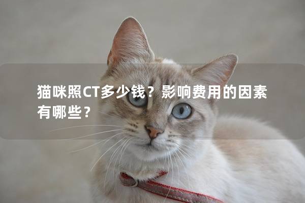 猫咪照CT多少钱？影响费用的因素有哪些？