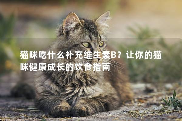 猫咪吃什么补充维生素B？让你的猫咪健康成长的饮食指南