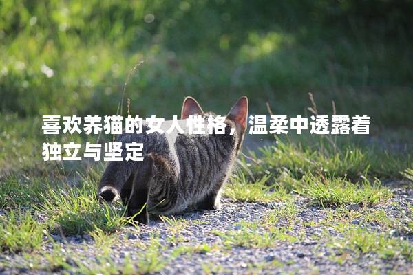 喜欢养猫的女人性格，温柔中透露着独立与坚定