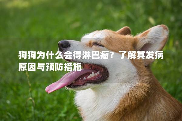 狗狗为什么会得淋巴瘤？了解其发病原因与预防措施