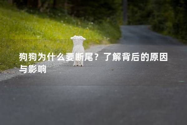 狗狗为什么要断尾？了解背后的原因与影响