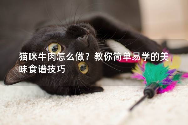 猫咪牛肉怎么做？教你简单易学的美味食谱技巧