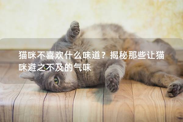 猫咪不喜欢什么味道？揭秘那些让猫咪避之不及的气味