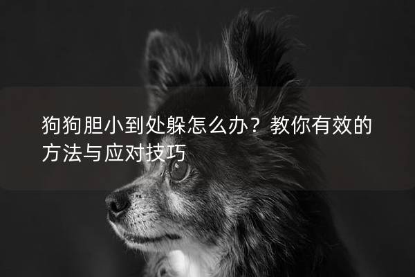 狗狗胆小到处躲怎么办？教你有效的方法与应对技巧