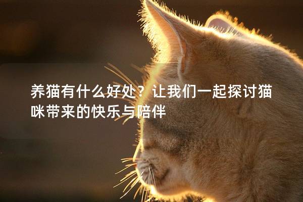 养猫有什么好处？让我们一起探讨猫咪带来的快乐与陪伴