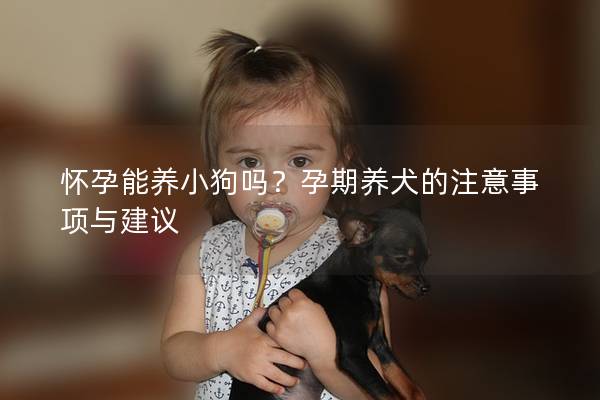 怀孕能养小狗吗？孕期养犬的注意事项与建议