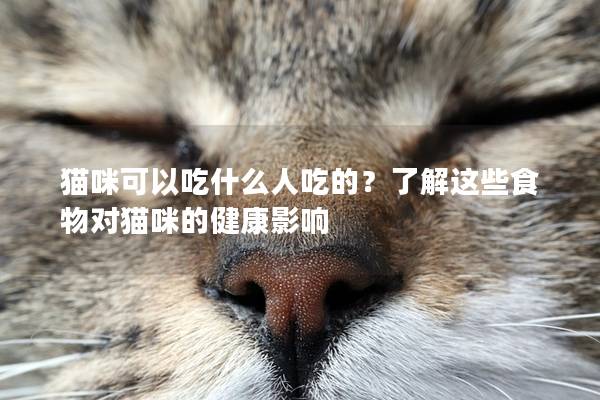 猫咪可以吃什么人吃的？了解这些食物对猫咪的健康影响