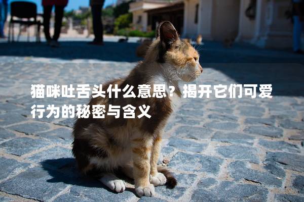 猫咪吐舌头什么意思？揭开它们可爱行为的秘密与含义