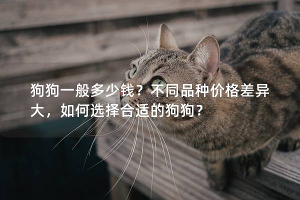 狗狗一般多少钱？不同品种价格差异大，如何选择合适的狗狗？