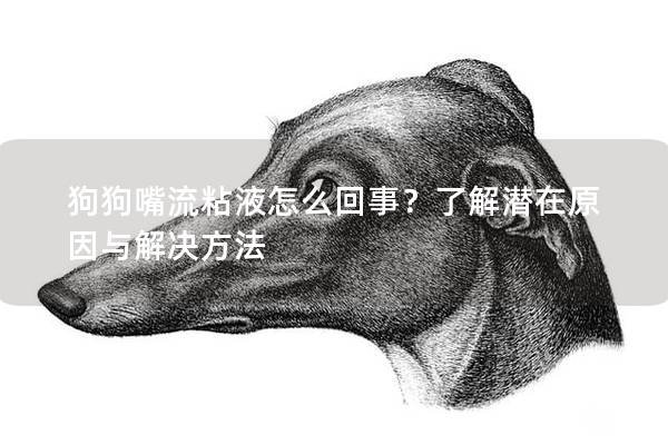 狗狗嘴流粘液怎么回事？了解潜在原因与解决方法