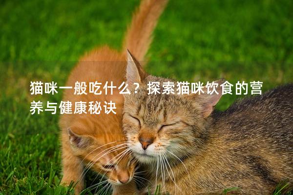 猫咪一般吃什么？探索猫咪饮食的营养与健康秘诀