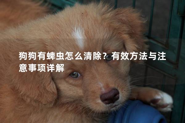 狗狗有蜱虫怎么清除？有效方法与注意事项详解